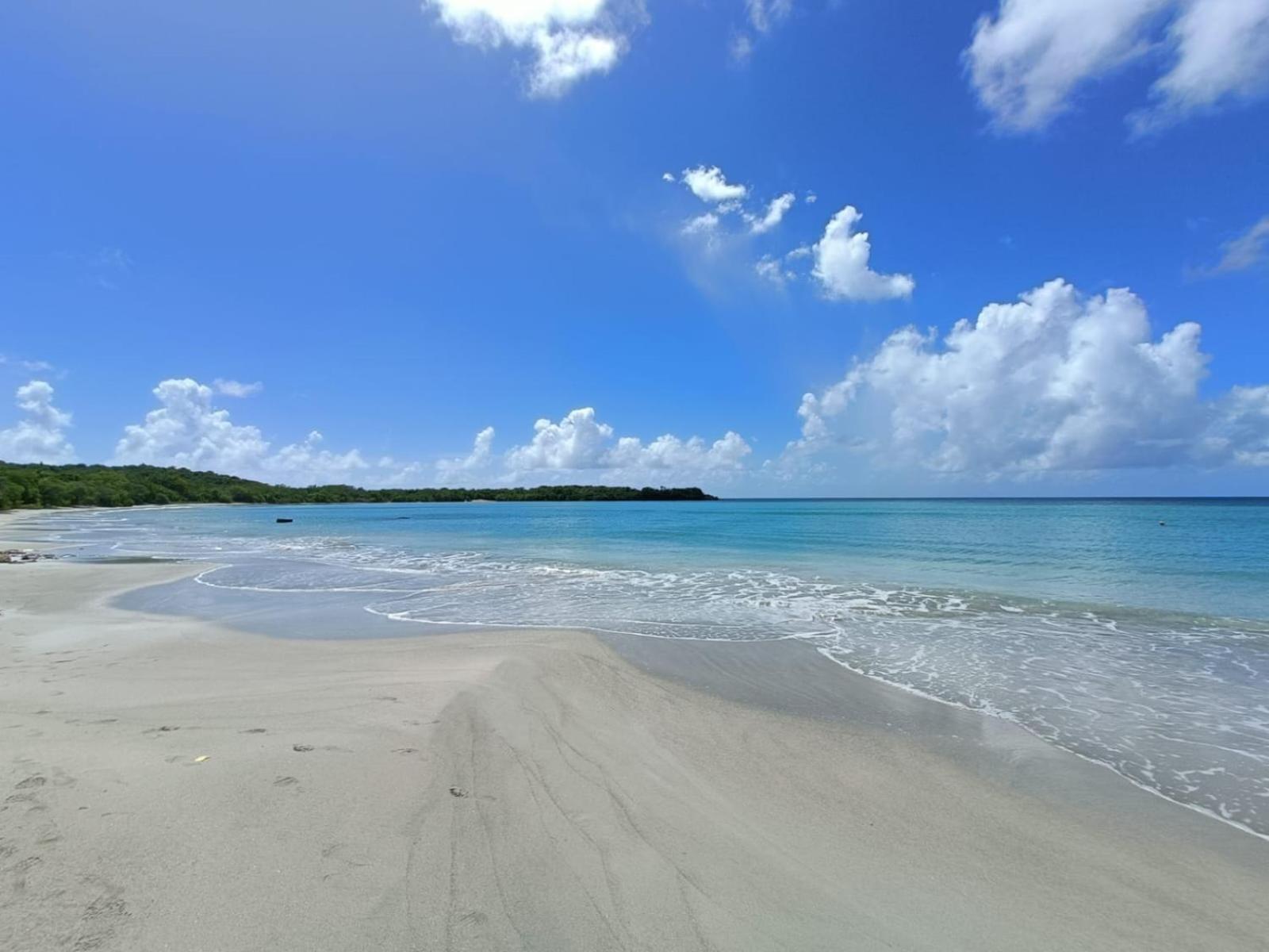 Le Madja'Kaz - Studio En Residence Et Bord De Mer - Sainte Luce Martinique Bagian luar foto